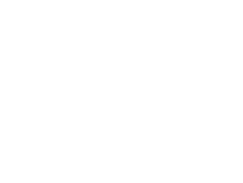 Two Mules